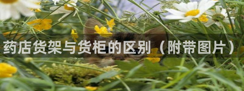 杏运娱乐平台注册地址