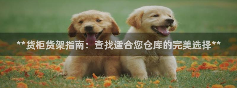 杏运相伴