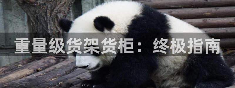 杏运平台注册登录