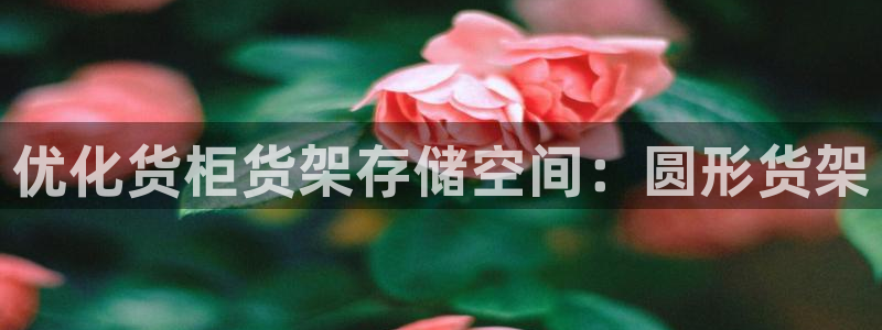 杏运平台官网