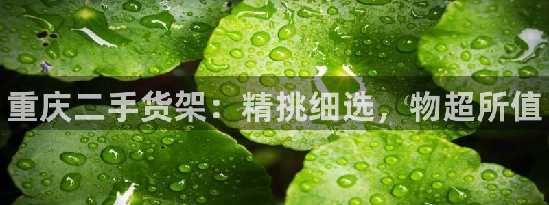 杏运娱乐平台注册地址