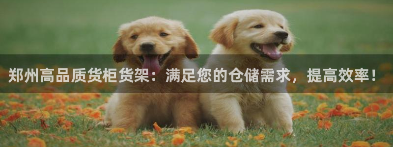 杏运平台注册