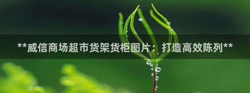杏运注册登录