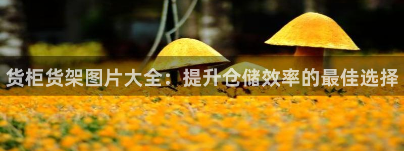 杏运平台登陆