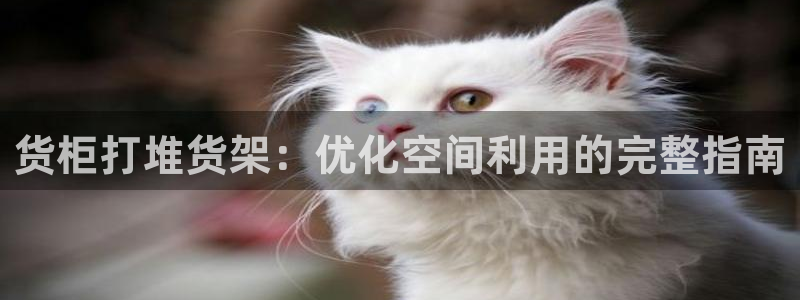 杏运相伴