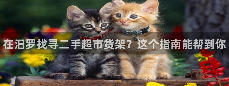 杏运平台招商
