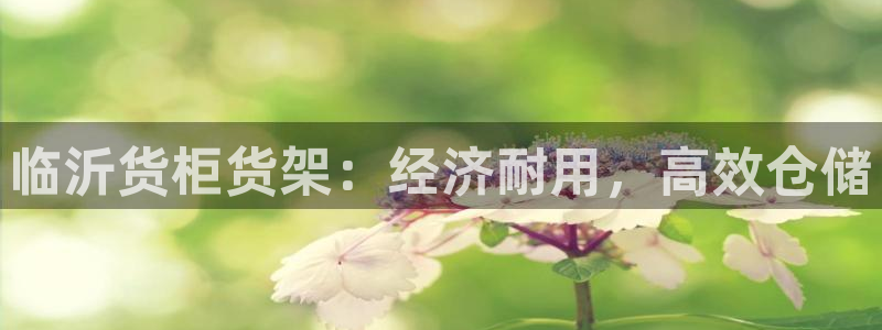 杏运体育平台