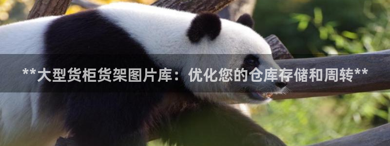 杏运体育官网