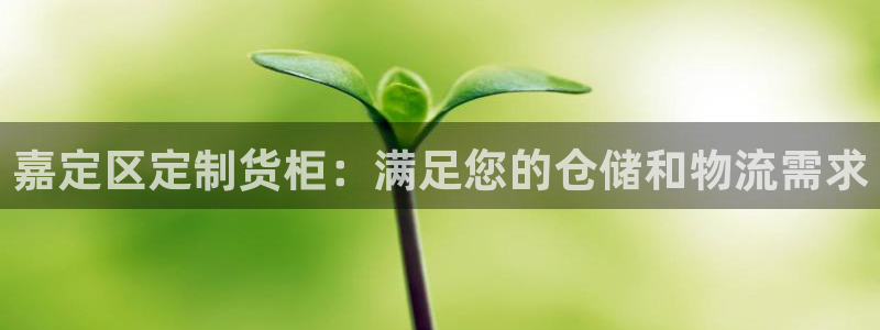 杏运代理