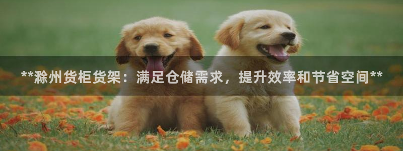 杏运平台官网