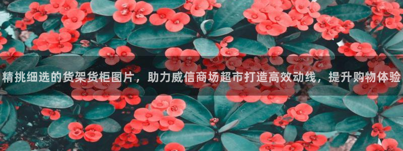 杏运体育app下载安装