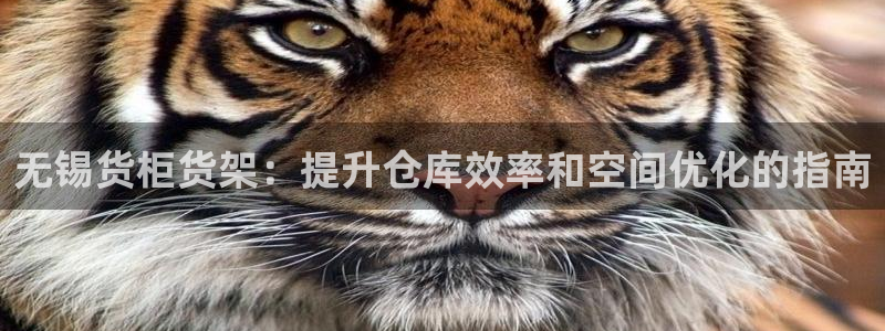 杏运平台注册