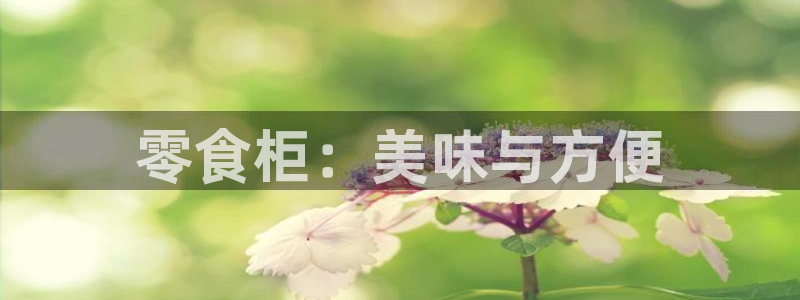杏运新能源