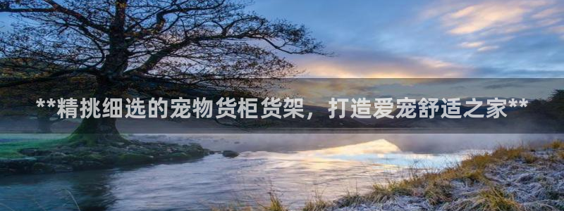 杏运平台官方网站