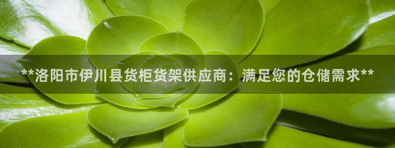 杏运平台代理