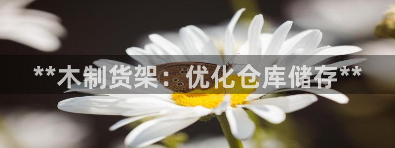 杏运娱乐平台注册地址在哪里
