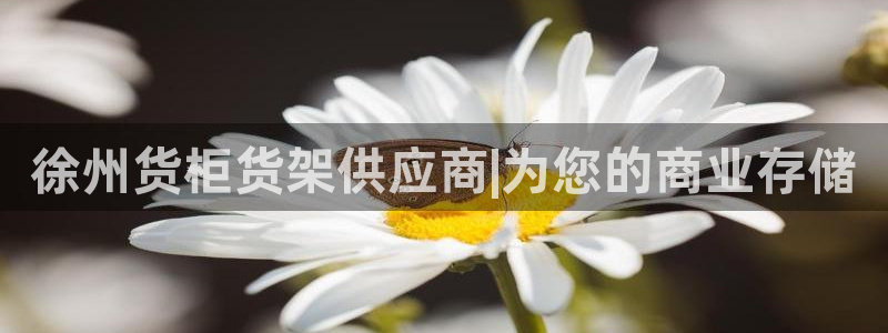 杏运体育平台