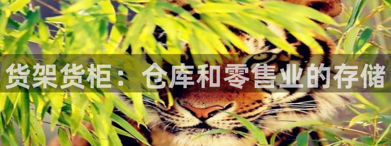 杏运汽车招商