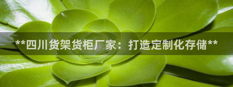 杏运体育官方网址登录