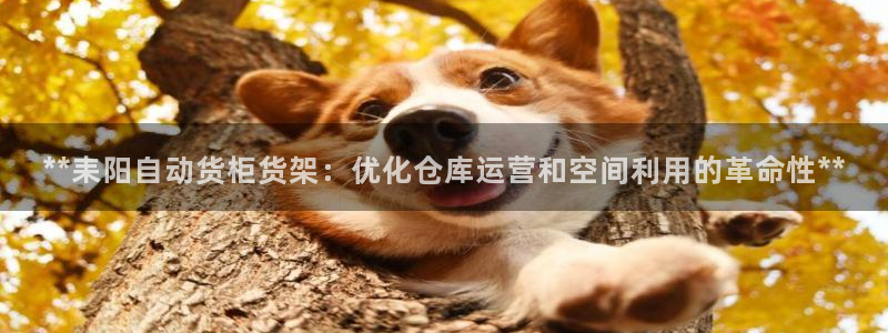 杏运体育网