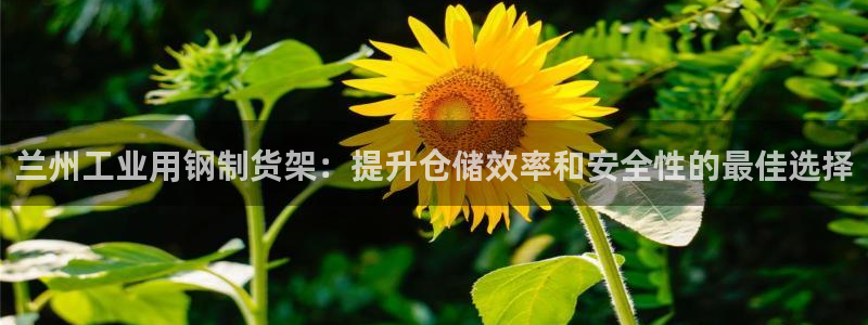 杏运娱乐平台注册地址在哪里