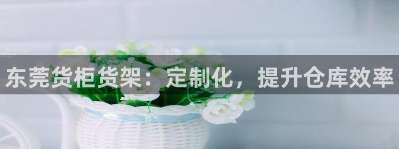 杏运代理