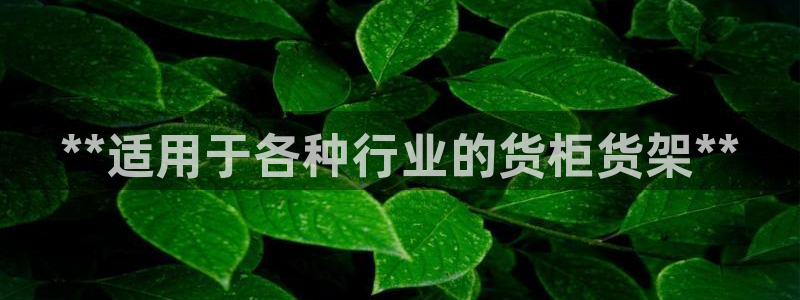 杏运代理