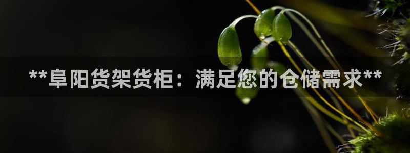 杏运体育怎么样