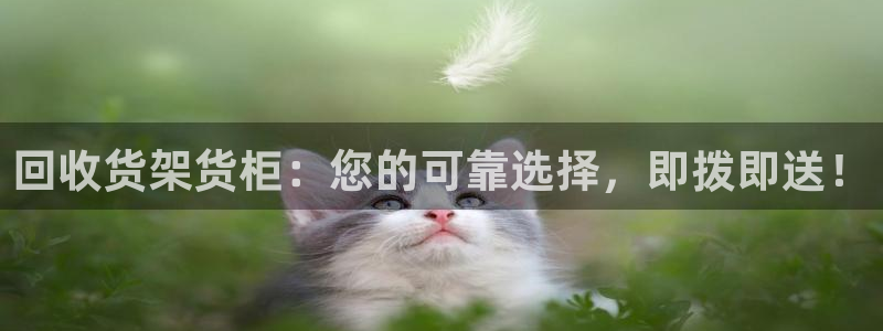 杏运体育官网