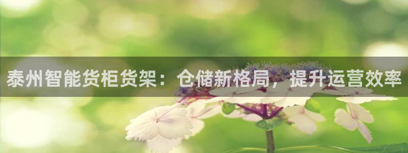 杏运平台注册登录