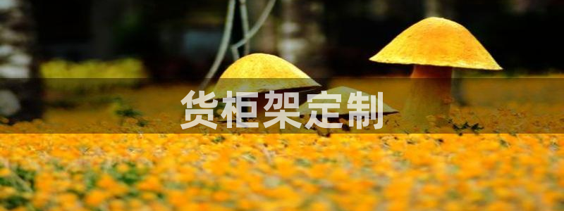 杏运代理
