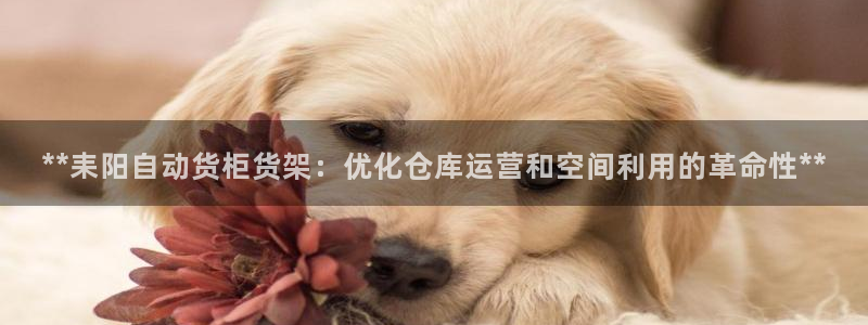 杏运体育注册