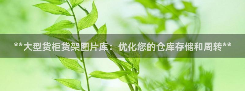 杏运代理