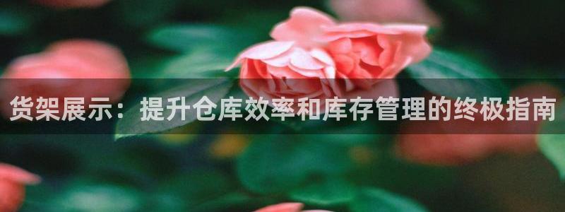 杏运注册登录地址