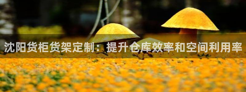 杏运注册登录