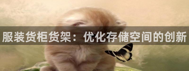 杏运注册登录地址