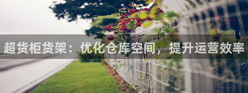 杏运相伴