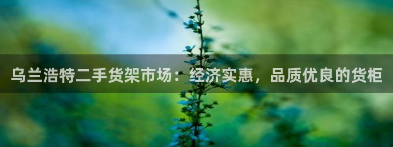 杏运新能源