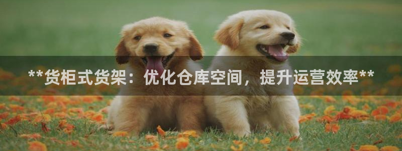 杏运汽车