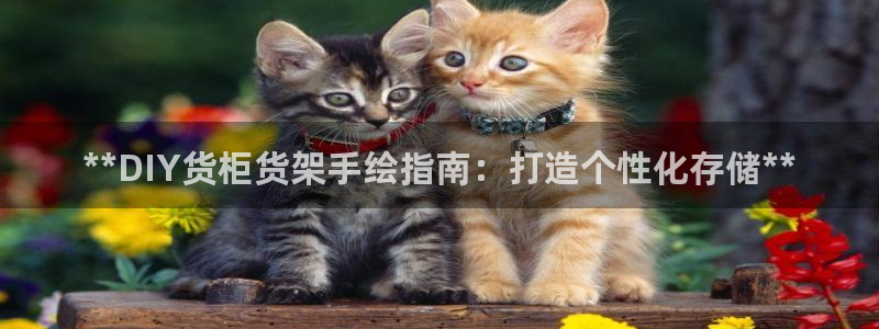 杏运体育官方网址