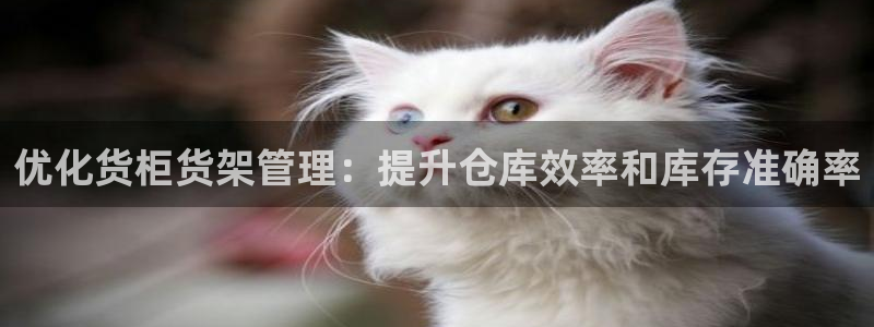 杏运相伴