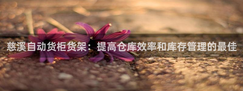 杏运体育官方网址登录