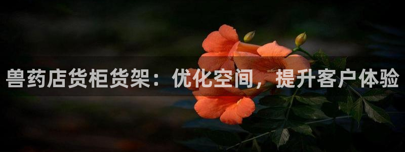 杏运平台代理