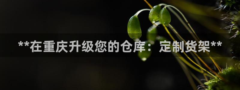 杏运体育网