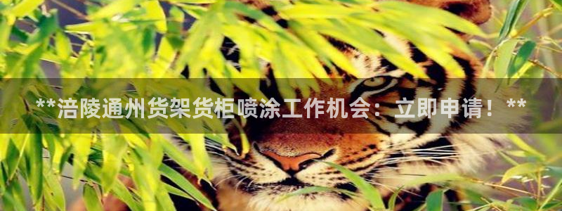 杏运平台注册