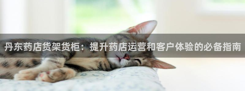 杏运注册登录