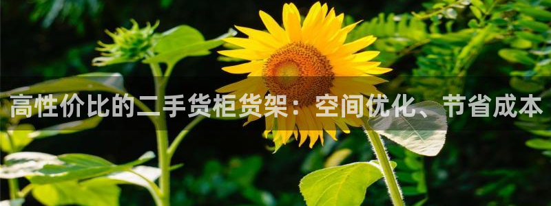 杏运新能源