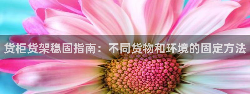 杏运代理