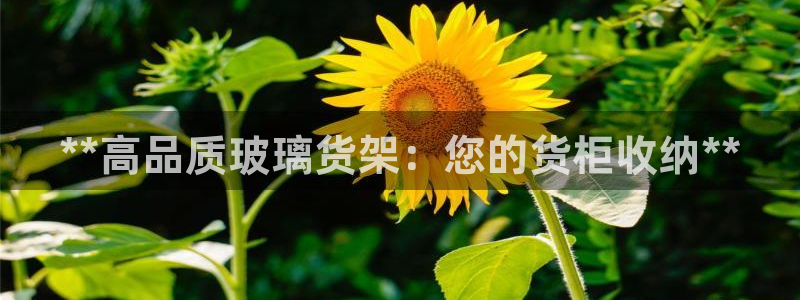 杏运体育官网