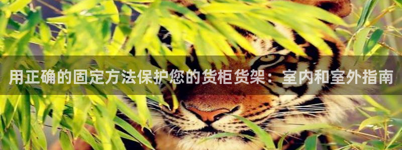 杏运汽车招商
